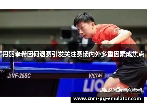 丹羽孝希因何退赛引发关注赛场内外多重因素成焦点