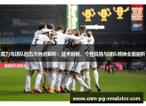 魔力鸟球队的五大特点解析:战术创新、个性风格与球队精神全面剖析 魔力鸟球队的五大特点解析:战术创新、个性风格与球队精神全面剖析